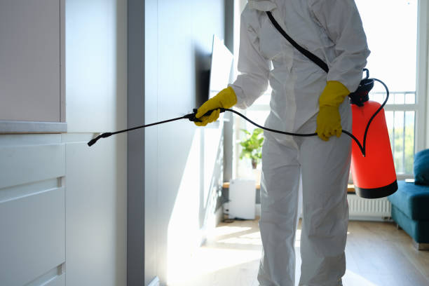 Professional Mold Removal in Van, TX