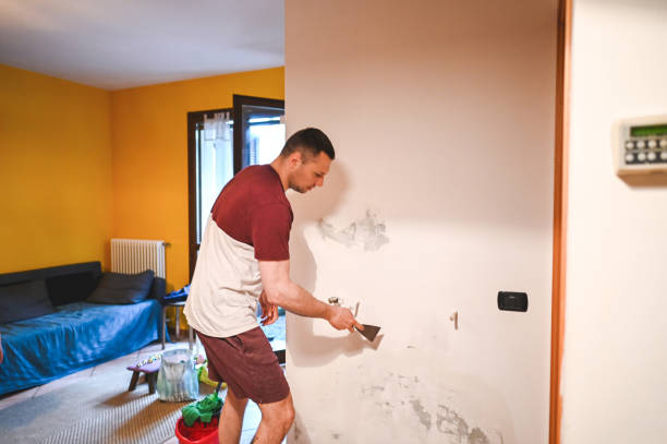 Best Emergency Mold Removal  in Van, TX